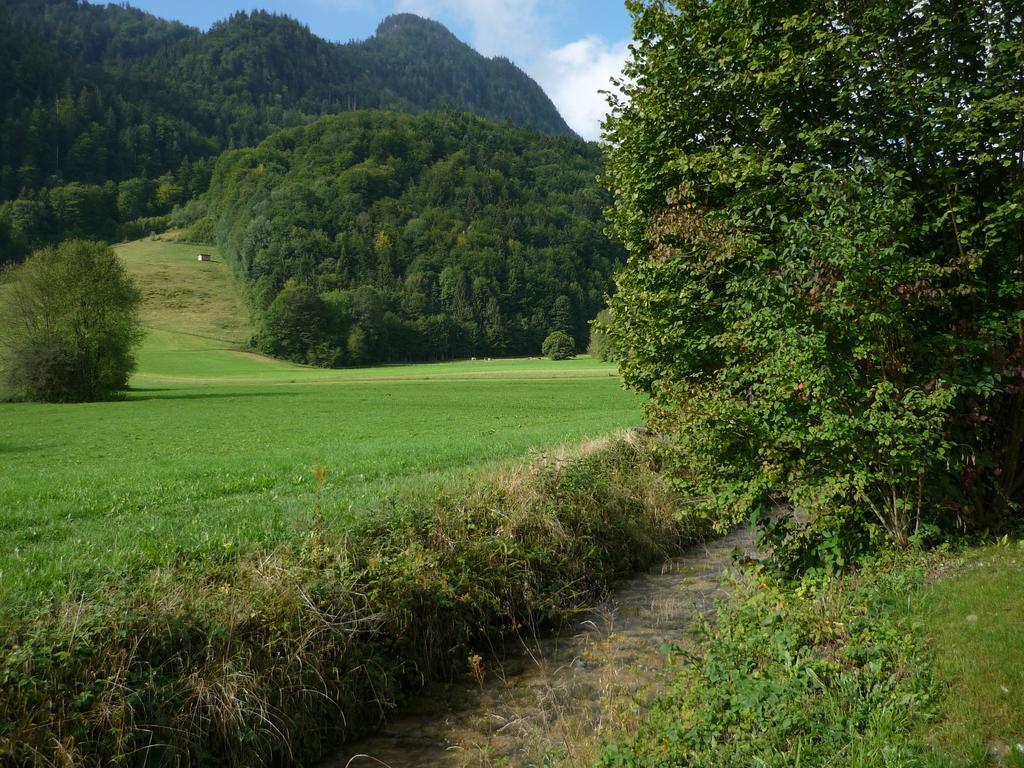 Apartment Am Schlierbach