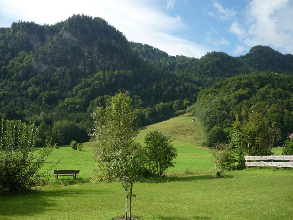 Am Schlierbach Apartment *